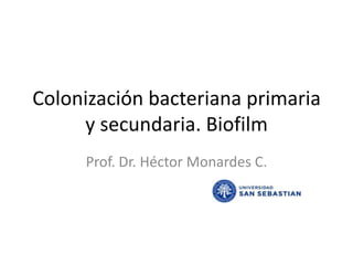 Colonización bacteriana primaria y secundaria. Biofilm Prof. Dr. Héctor Monardes C. 
