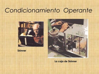 Condicionamiento Operante




   Skinner



              La caja de Skinner
 