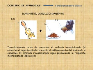 CONCEPTO DE APRENDIZAJE                     Condicionamiento clásico


             DURANTE EL CONDICIONAMIENTO

   E.N
                                           R.I
                                  E.I


                             +

Inmediatamente antes de presentar el estímulo incondicionado (el
alimento) el experimentador presenta el estímulo neutro (el sonido de la
campana). El estímulo incondicionado sigue produciendo la respuesta
incondicionada (salivación)
 
