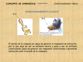 CONCEPTO DE APRENDIZAJE                          Condicionamiento clásico


                   CONDICIONAMIENTO CLÁSICO
      E.C

                                    R.C




  El sonido de la campana es capaz de generar la respuesta de salivación,
  por lo que deja de ser un estímulo neutro y pasa a ser un estímulo
  condicionado capaz de generar una respuesta condicionada o aprendida
  (salivación ante el sonido de la campana)
 