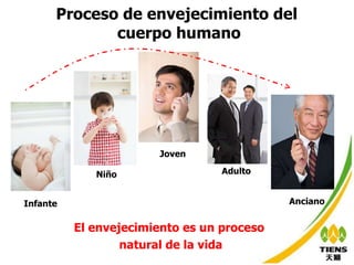 Proceso de envejecimiento del  cuerpo humano El envejecimiento es un proceso  natural de la vida Infante Niño Adulto Anciano Joven 