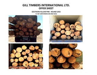GILL TIMBERS INTERNATIONAL LTD.
OFFER SHEET
SOUTHERN YELLOW PINE - ROUND LOGS
5 X 40' CONTAINERS ON HIGH SEAS
 