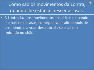 Como são os movimentos da Lontra, quando lhe estão a crescer as asas.A Lontra faz uns movimentos esquisitos e quando lhe nascem as asas, começa a voar alto depois de uns minutos a voar descontrola-se e cai em redondo no chão.