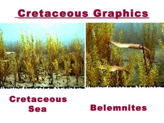 Cretaceous Graphics
Cretaceous
Sea Belemnites 
 