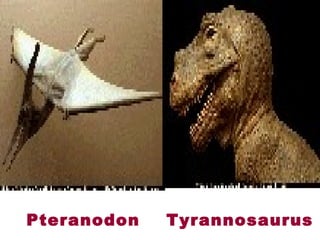  Pteranodon Tyrannosaurus
 