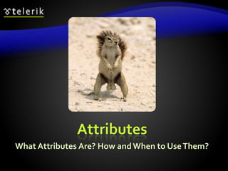 Attributes
What Attributes Are? How andWhen to UseThem?
 