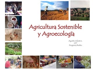Agricultura Sostenible
y Agroecología
Agustín Infante L.
CET
Programa BioBio
 
