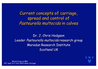 Current concepts of carriage,
spread and control of
Pasteurella multocida in calves
Current concepts of carriage,
spread and control of
Pasteurella multocida in calves
Dr. J. Chris HodgsonDr. J. Chris Hodgson
LeaderLeader Pasteurella multocidaPasteurella multocida research groupresearch group
Moredun Research InstituteMoredun Research Institute
Scotland UKScotland UK
Merial forum on BRD
29th Sept to 1st Oct 2010 Lisbon, Portugal
 