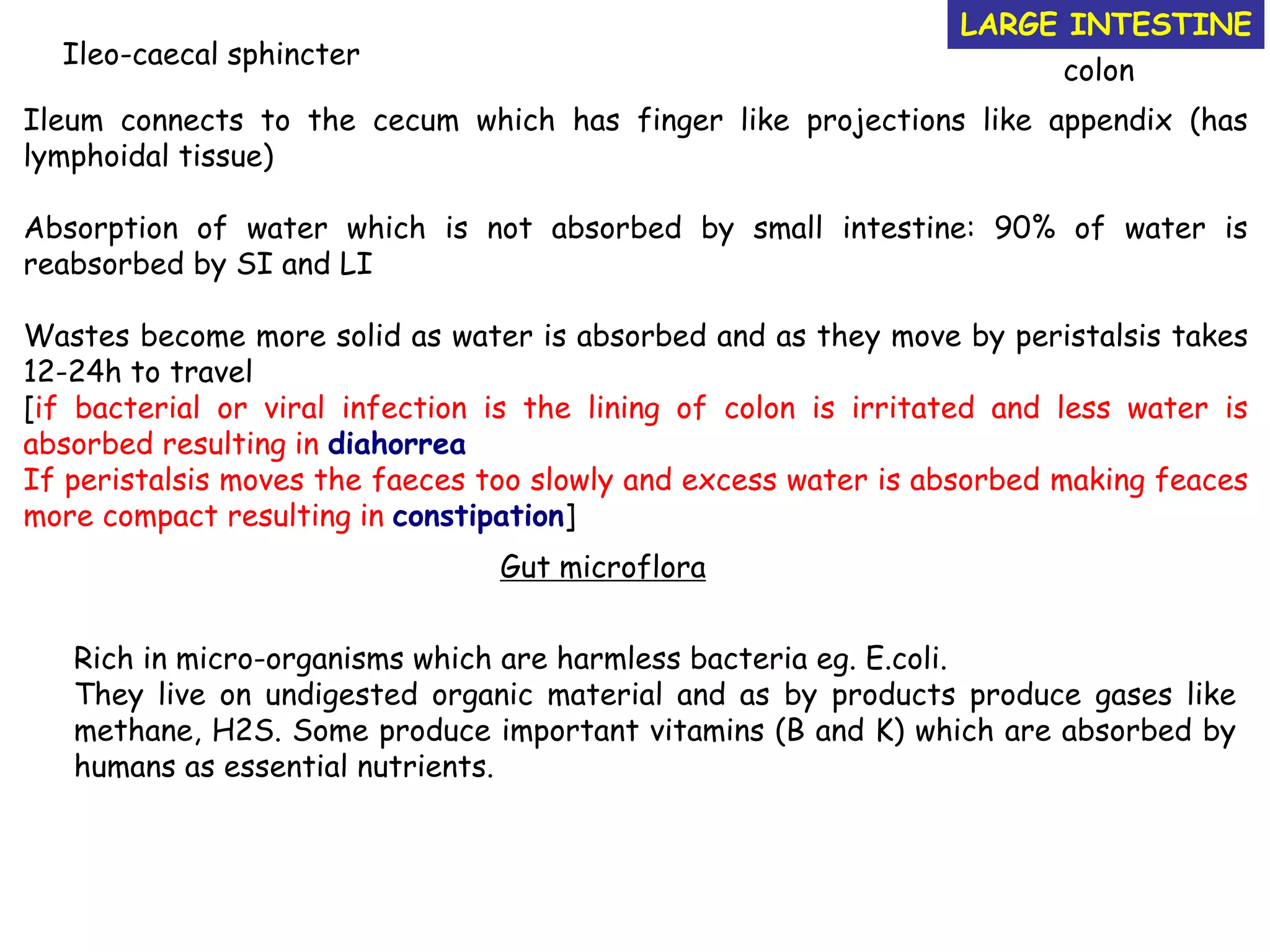LARGE INTESTINE
colon
Ileo-caecal sphincter
Ileum connects to the cecum which has finger like projections like appendix (has
lymphoidal tissue)
Absorption of water which is not absorbed by small intestine: 90% of water is
reabsorbed by SI and LI
Wastes become more solid as water is absorbed and as they move by peristalsis takes
12-24h to travel
[if bacterial or viral infection is the lining of colon is irritated and less water is
absorbed resulting in diahorrea
If peristalsis moves the faeces too slowly and excess water is absorbed making feaces
more compact resulting in constipation]
Gut microflora
Rich in micro-organisms which are harmless bacteria eg. E.coli.
They live on undigested organic material and as by products produce gases like
methane, H2S. Some produce important vitamins (B and K) which are absorbed by
humans as essential nutrients.
 