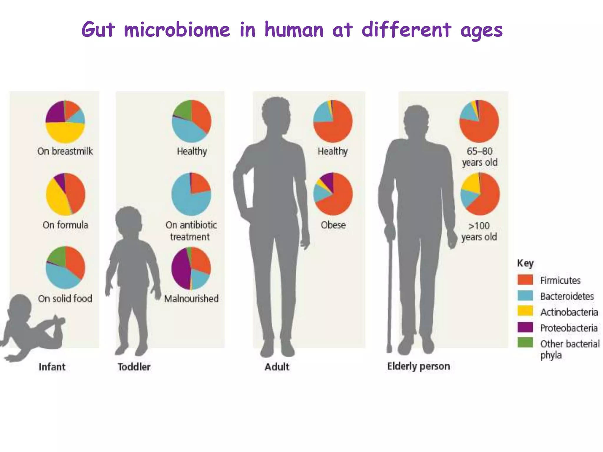 Gut microbiome in human at different ages
 