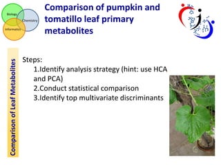 Biology

Chemistry

Comparison of Leaf Metabolites

Informatics

Comparison of pumpkin and
tomatillo leaf primary
metabolites

Steps:
1.Identify analysis strategy (hint: use HCA
and PCA)
2.Conduct statistical comparison
3.Identify top multivariate discriminants

 