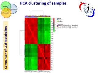 HCA clustering of samples
Biology

Chemistry

Comparison of Leaf Metabolites

Informatics

 