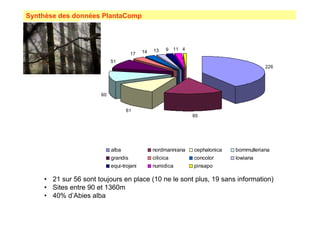 Synthèse des données PlantaComp 
226 
85 
61 
60 
51 
17 14 13 9 11 4 
alba nordmanniana cephalonica bornmulleriana 
grandis cilicica concolor lowiana 
equi-trojani numidica pinsapo 
• 21 sur 56 sont toujours en place (10 ne le sont plus, 19 sans information) 
• Sites entre 90 et 1360m 
• 40% d’Abies alba 
 