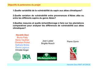 Objectifs & partenaires du projet 
1.Quelle variabilité de la vulnérabilité du sapin aux aléas climatiques? 
2.Quelle variation de vulnérabilité entre provenances d’Abies alba ou 
entre les différents sapins du genre Abies? 
3.Quelles mesures et quelle échantillonnage à faire sur les plantations 
comparatives pour analyser les différences de vulnérabilité aux aléas 
climatiques? 
Hendrik Davi 
Bruno Fady 
Denis Vauthier 
Christian Pichot 
Nathalie Bréda 
Pierre Legroux 
Christel Anger 
Hendrik Davi RMT AFORCE 
Jean Ladier 
Brigitte Musch 
Pierre Gonin 
 