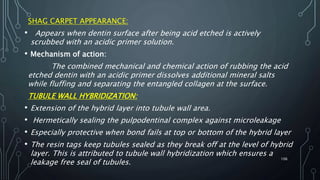 SHAG CARPET APPEARANCE:
• Appears when dentin surface after being acid etched is actively
scrubbed with an acidic primer solution.
• Mechanism of action:
The combined mechanical and chemical action of rubbing the acid
etched dentin with an acidic primer dissolves additional mineral salts
while fluffing and separating the entangled collagen at the surface.
TUBULE WALL HYBRIDIZATION:
• Extension of the hybrid layer into tubule wall area.
• Hermetically sealing the pulpodentinal complex against microleakage
• Especially protective when bond fails at top or bottom of the hybrid layer
• The resin tags keep tubules sealed as they break off at the level of hybrid
layer. This is attributed to tubule wall hybridization which ensures a
leakage free seal of tubules.
106
 