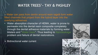 108
WATER TREES’– TAY & PASHLEY
▸Water can pass from dentin around resin tags& form water
filled channels that project from the hybrid layer into the
overlying adhesives
• Water absorption character of HEMA, water is prone to
permeate into the dental resin composite completely
through the dental adhesive materials by forming water
blisters and “Water trees”. Thus leading to Nanoleakage
problem and failure of dental restorations.
 Bidirectional water current
 