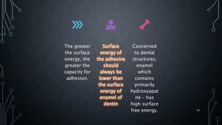The greater
the surface
energy, the
greater the
capacity for
adhesion.
Surface
energy of
the adhesive
should
always be
lower than
the surface
energy of
enamel of
dentin
Concerned
to dental
structures,
enamel
which
contains
primarily
hydroxyapat
ite – has
high surface
free energy. 18
 