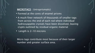 MICROTAGS : (intraprismatic)
• Formed at the cores of enamel prisms
• A much finer network of thousands of smaller tags
from across the end of each rod where individual
hydroxyapatite crystals have been dissolved, leaving
crypts outlined by residual organic material
• Length is 2-10 microns
Micro tags contribute most because of their larger
number and greater surface area.
61
 