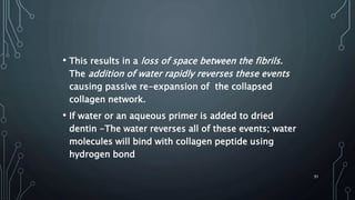 • This results in a loss of space between the fibrils.
The addition of water rapidly reverses these events
causing passive re-expansion of the collapsed
collagen network.
• If water or an aqueous primer is added to dried
dentin -The water reverses all of these events; water
molecules will bind with collagen peptide using
hydrogen bond
91
 