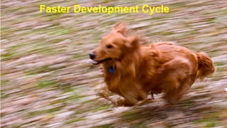 Faster Development Cycle
 