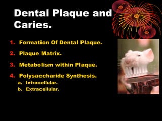 Dental Plaque and
Caries.
1. Formation Of Dental Plaque.
2. Plaque Matrix.
3. Metabolism within Plaque.
4. Polysaccharide Synthesis.
a. Intracellular.
b. Extracellular.
 