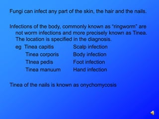 Fungi can infect any part of the skin, the hair and the nails.

Infections of the body, commonly known as “ringworm” are
   not worm infections and more precisely known as Tinea.
   The location is specified in the diagnosis.
   eg Tinea capitis          Scalp infection
        Tinea corporis       Body infection
        TInea pedis          Foot infection
        Tinea manuum         Hand infection

Tinea of the nails is known as onychomycosis
 