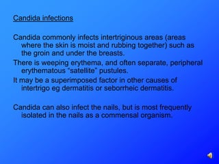 Candida infections

Candida commonly infects intertriginous areas (areas
   where the skin is moist and rubbing together) such as
   the groin and under the breasts.
There is weeping erythema, and often separate, peripheral
   erythematous “satellite” pustules.
It may be a superimposed factor in other causes of
   intertrigo eg dermatitis or seborrheic dermatitis.

Candida can also infect the nails, but is most frequently
  isolated in the nails as a commensal organism.
 