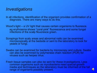 Investigations
In all infections, identification of the organism provides confirmation of a
   diagnosis. There are many ways to do this.

Wood’s light – a UV light that causes certain organisms to fluoresce.
  eg erythrasma shows “coral pink” fluorescence and some fungal
  infections of the scalp flouoresce green.

Scrapings from scaly areas and abnormal nails can be examined
   microscopically at the bedside or sent to the laboratory to look for
   yeasts or fungi.

Swabs can be examined for bacteria by microscopy and culture. Swabs
  can also be examined by polymerase chain reaction (PCR) for
  viruses such as herpes virus.

Fresh tissue samples can also be sent for these investigations. Less
   common organisms such as mycobacteria need special growth
   media and techniques so the laboratory must be informed of the full
   range of organisms possibly present.
 