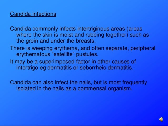 5. dermatological infections 5. dermatological infections