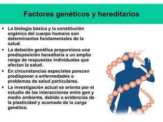 Factores genéticos y hereditarios <ul><li>La biología básica y la constitución orgánica del cuerpo humano son determinante...