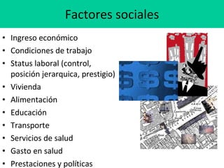 Factores sociales <ul><li>Ingreso económico </li></ul><ul><li>Condiciones de trabajo </li></ul><ul><li>Status laboral (con...