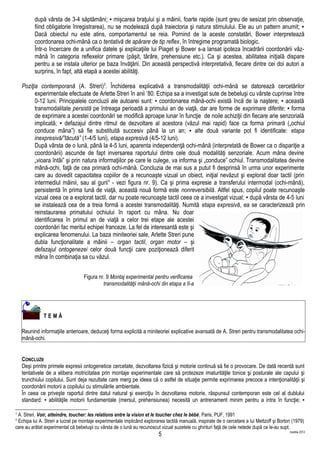 după vârsta de 3-4 săptămâni; ▪ mişcarea braţului şi a mâinii, foarte rapide (sunt greu de sesizat prin observaţie,
fiind obligatorie înregistrarea), nu se modelează după traiectoria şi natura stimulului. Ele au un pattern anumit; ▪
Dacă obiectul nu este atins, comportamentul se reia. Pornind de la aceste constatări, Bower interpretează
coordonarea ochi-mână ca o tentativă de apărare de tip reflex, în întregime programată biologic.
Într-o încercare de a unifica datele şi explicaţiile lui Piaget şi Bower s-a lansat ipoteza încadrării coordonării văz-
mână în categoria reflexelor primare (păşit, târâre, prehensiune etc.). Ca şi acestea, abilitatea iniţială dispare
pentru a se instala ulterior pe baza învăţării. Din această perspectivă interpretativă, fiecare dintre cei doi autori a
surprins, în fapt, altă etapă a acestei abilităţi.
Poziţia contemporană (A. Streri)3
. Închiderea explicativă a transmodalităţii ochi-mână se datorează cercetărilor
experimentale efectuate de Arlette Streri în anii ’80. Echipa sa a investigat sute de bebeluşi cu vârste cuprinse între
0-12 luni. Principalele concluzii ale autoarei sunt: ▪ coordonarea mână-ochi există încă de la naştere; ▪ această
transmodalitate persistă pe întreaga perioadă a primului an de viaţă, dar are forme de exprimare diferite; ▪ forma
de exprimare a acestei coordonări se modifică aproape lunar în funcţie de noile achiziţii din fiecare arie senzorială
implicată; ▪ defazajul dintre ritmul de dezvoltare al acestora (văzul mai rapid) face ca forma primară („ochiul
conduce mâna”) să fie substituită succesiv până la un an; ▪ alte două variante pot fi identificate: etapa
inexpresivă/”tăcută” (1-4/5 luni), etapa expresivă (4/5-12 luni).
După vârsta de o lună, până la 4-5 luni, aparenta independenţă ochi-mână (interpretată de Bower ca o dispariţie a
coordonării) ascunde de fapt inversarea raportului dintre cele două modalităţi senzoriale. Acum mâna devine
„vioara întâi” şi prin natura informaţiilor pe care le culege, va informa şi „conduce” ochiul. Transmodalitatea devine
mână-ochi, faţă de cea primară ochi-mână. Concluzia de mai sus a putut fi desprinsă în urma unor experimente
care au dovedit capacitatea copiilor de a recunoaşte vizual un obiect, iniţial nevăzut şi explorat doar tactil (prin
intermediul mâinii, sau al gurii4
- vezi figura nr. 9). Ca şi prima expresie a transferului intermodal (ochi-mână),
persistentă în prima lună de viaţă, această nouă formă este nonreversibilă. Altfel spus, copilul poate recunoaşte
vizual ceea ce a explorat tactil, dar nu poate recunoaşte tactil ceea ce a investigat vizual; ▪ după vârsta de 4-5 luni
se instalează cea de a treia formă a acestei transmodalităţi. Numită etapa expresivă, ea se caracterizează prin
reinstaurarea primatului ochiului în raport cu mâna. Nu doar
identificarea în primul an de viaţă a celor trei etape ale acestei
coordonări fac meritul echipei franceze. La fel de interesantă este şi
explicarea fenomenului. La baza miniteoriei sale, Arlette Streri pune
dubla funcţionalitate a mâinii – organ tactil, organ motor – şi
defazajul ontogenezei celor două funcţii care poziţionează diferit
mâna în combinaţia sa cu văzul.
Figura nr. 9 Montaj experimental pentru verificarea
transmodalităţii mână-ochi din etapa a II-a
T E M Ă
Reunind informaţiile anterioare, deduceţi forma explicită a miniteoriei explicative avansată de A. Streri pentru transmodalitatea ochi-
mână-ochi.
CONCLUZII
Deşi printre primele expresii ontogenetice cercetate, dezvoltarea fizică şi motorie continuă să fie o provocare. De dată recentă sunt
tentativele de a elibera motricitatea prin montaje experimentale care să protezeze imaturităţile tonice şi posturale ale capului şi
trunchiului copilului. Sunt deja rezultate care merg pe ideea că o astfel de situaţie permite exprimarea precoce a intenţionalităţii şi
coordonării motorii a copilului cu stimulările ambientale.
În ceea ce priveşte raportul dintre datul natural şi exerciţiu în dezvoltarea motorie, răspunsul contemporan este cel al dublului
standard: ▪ abilităţile motorii fundamentale (mersul, prehensiunea) necesită un antrenament minim pentru a intra în funcţie; ▪
3
A. Streri, Voir, atteindre, toucher: les relations entre la vision et le toucher chez le bébé, Paris, PUF, 1991
4
Echipa lui A. Streri a lucrat pe montaje experimentale implicând explorarea tactilă manuală, inspirate de o cercetare a lui Meltzoff şi Borton (1979)
care au arătat experimental că bebeluşii cu vârsta de o lună au recunoscut vizual suzetele cu ghinturi faţă de cele netede după ce le-au supt.
martilie 2013
5
 