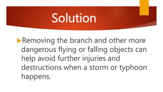 5 Disaster Risks Or Hazards That Can Be Pptx