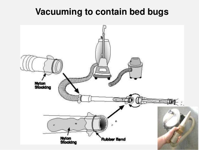 Diy Hot Box For Bed Bugs Diy Hot Box For Bed Bugs