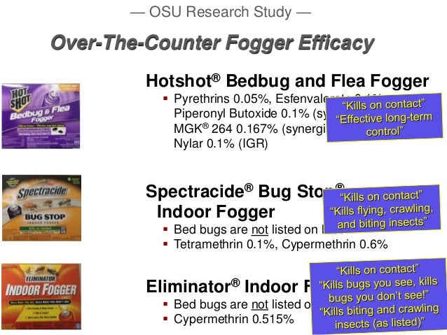 How do bug bombs kill bugs?