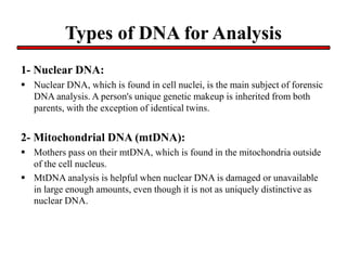 Types of DNA for Analysis
1- Nuclear DNA:
 Nuclear DNA, which is found in cell nuclei, is the main subject of forensic
DNA analysis. A person's unique genetic makeup is inherited from both
parents, with the exception of identical twins.
2- Mitochondrial DNA (mtDNA):
 Mothers pass on their mtDNA, which is found in the mitochondria outside
of the cell nucleus.
 MtDNA analysis is helpful when nuclear DNA is damaged or unavailable
in large enough amounts, even though it is not as uniquely distinctive as
nuclear DNA.
 