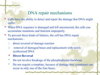 Comprehensive Overview of DNA Repair Mechanisms and Their Biological ...