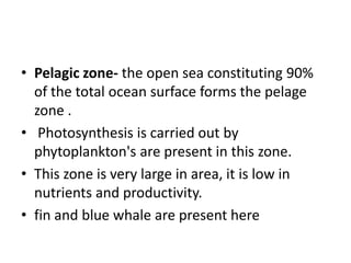 • Pelagic zone- the open sea constituting 90%
of the total ocean surface forms the pelage
zone .
• Photosynthesis is carried out by
phytoplankton's are present in this zone.
• This zone is very large in area, it is low in
nutrients and productivity.
• fin and blue whale are present here
 