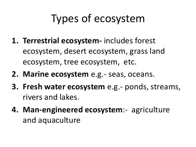 terrestrial ecosystem - definition, types, examples -... Types Of Terrestrial Ecosystem Ecosystem