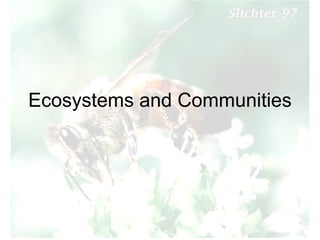 Ecosystems and Communities 