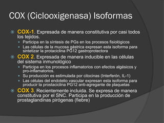 COX (Ciclooxigenasa) Isoformas
 COX-1. Expresada de manera constitutiva por casi todos
los tejidos.
 Participa en la síntesis de PGs en los procesos fisiológicos
 Las células de la mucosa gástrica expresan esta isoforma para
sintetizar la protaciclina PG12 gastroprotectora
 COX 2. Expresada de manera inducible en las células
del sistema inmunológico
 Participa en los procesos inflamatorios con efectos algésicos y
pro-inflamatorios.
 Su producción es estimulada por citocinas (Interferón, IL-1)
 Las células del endotelio vascular expresan esta isoforma para
producir la prostaciclina PG12 anti-agregante de plaquetas
 COX 3. Recientemente incluida. Se expresa de manera
constitutiva por el SNC. Participa en la producción de
prostaglandinas pirógenas (fiebre)
 