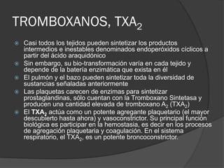 TROMBOXANOS, TXA2
 Casi todos los tejidos pueden sintetizar los productos
intermedios e inestables denominados endoperóxidos cíclicos a
partir del ácido araquidónico
 Sin embargo, su bio-transformación varía en cada tejido y
depende de la batería enzimática que exista en él
 El pulmón y el bazo pueden sintetizar toda la diversidad de
sustancias señaladas anteriormente
 Las plaquetas carecen de enzimas para sintetizar
prostaglandinas, sólo cuentan con la Tromboxano Sintetasa y
producen una cantidad elevada de tromboxano A2 (TXA2)
 El TXA2 actúa como un potente agregante plaquetario (el mayor
descubierto hasta ahora) y vasoconstrictor. Su principal función
biológica es participar en la hemostasia, es decir en los procesos
de agregación plaquetaria y coagulación. En el sistema
respiratorio, el TXA2, es un potente broncoconstrictor.
 
