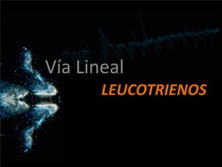 LEUCOTRIENOS
Vía Lineal
 