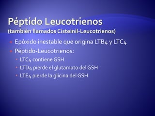  Epóxido inestable que origina LTB4 y LTC4
 Péptido-Leucotrienos:
 LTC4 contiene GSH
 LTD4 pierde el glutamato del GSH
 LTE4 pierde la glicina del GSH
 