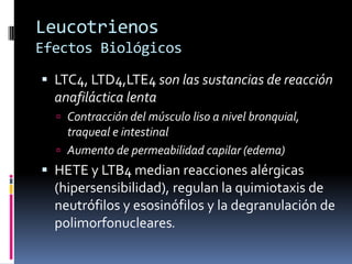 Leucotrienos
Efectos Biológicos
 LTC4, LTD4,LTE4 son las sustancias de reacción
anafiláctica lenta
 Contracción del músculo liso a nivel bronquial,
traqueal e intestinal
 Aumento de permeabilidad capilar (edema)
 HETE y LTB4 median reacciones alérgicas
(hipersensibilidad), regulan la quimiotaxis de
neutrófilos y esosinófilos y la degranulación de
polimorfonucleares.
 
