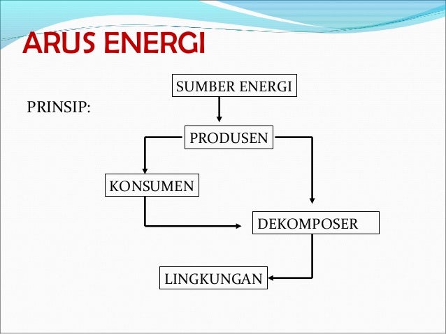 5 ekosistem-dan-interaksi