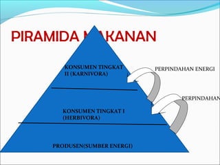 PIRAMIDA MAKANAN
PRODUSEN(SUMBER ENERGI)
KONSUMEN TINGKAT I
(HERBIVORA)
KONSUMEN TINGKAT
II (KARNIVORA)
PERPINDAHAN ENERGI
PERPINDAHAN
 