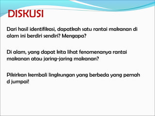 DISKUSI
Dari hasil identifikasi, dapatkah satu rantai makanan di
alam ini berdiri sendiri? Mengapa?
Di alam, yang dapat kita lihat fenomenanya rantai
makanan atau jaring-jaring makanan?
Pikirkan kembali lingkungan yang berbeda yang pernah
d jumpai!
 