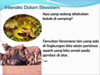 Interaksi Dalam Ekosistem
Apa yang sedang dilakukan
katak di samping?
Temukan fenomena lain yang ada
di lingkungan kita selain peristiwa
seperti yang kita amati pada
gambar di atas.
 