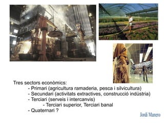 Tres sectors econòmics:
      - Primari (agricultura ramaderia, pesca i silvicultura)
      - Secundari (activitats extrac...